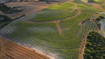 bodega-360-alava-suelo-agua