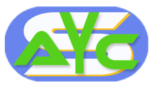 LOGO SALYCON