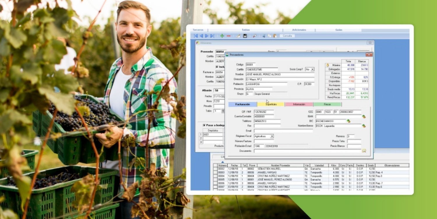 programa que automatiza la entrada de la uva