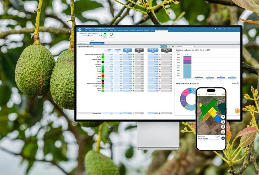 digitalizacion-cutivo-aguacate