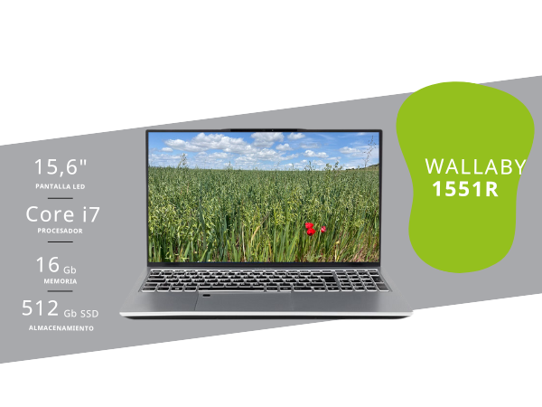 Wallaby 1551R