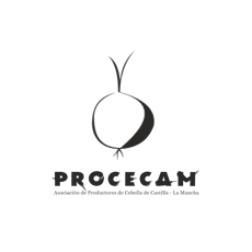 logo- procecam